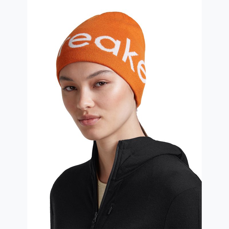 Žieminė kepurė icebreaker Merino Icebreaker Beanie spice/ecru heather 7