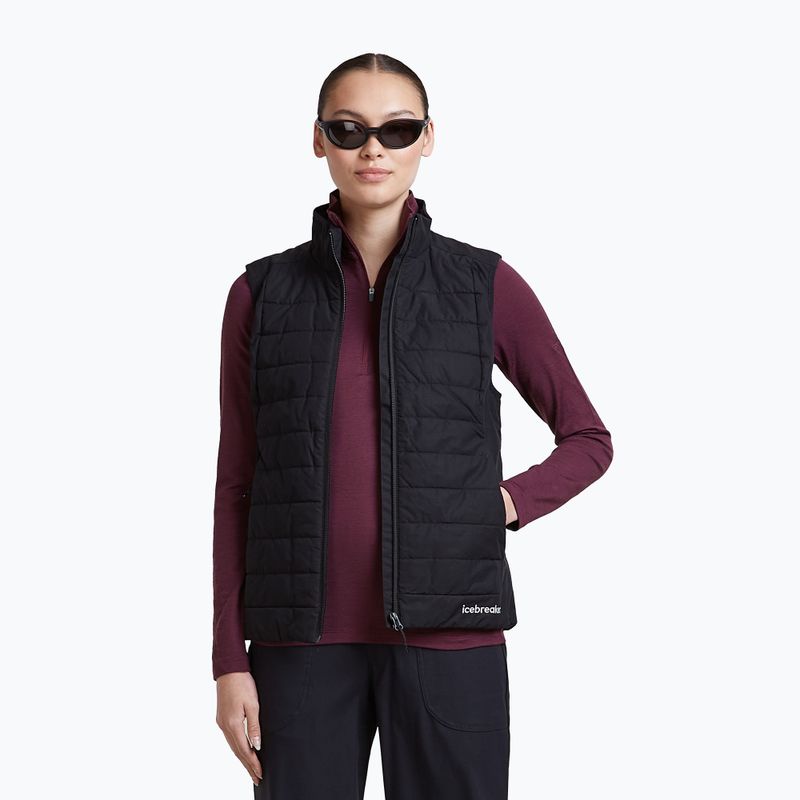 Moteriškas termo džemperis Icebreaker 200 Oasis LS Half Zip dark berry 7