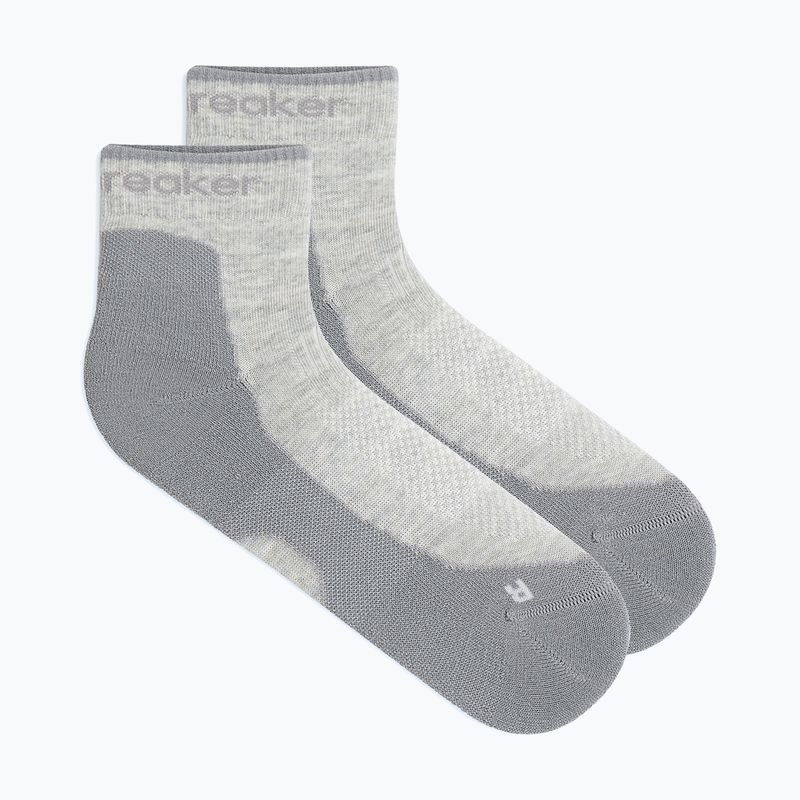 Moteriškos kojinės Icebreaker Merino Hike+ Light Mini blizzard heather/alloy