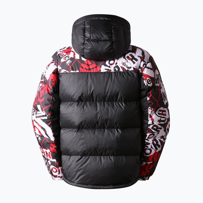Vyriškos pūkinės striukės The North Face Printed Hmlyn Down Parka black NF0A5J1J99A1 2