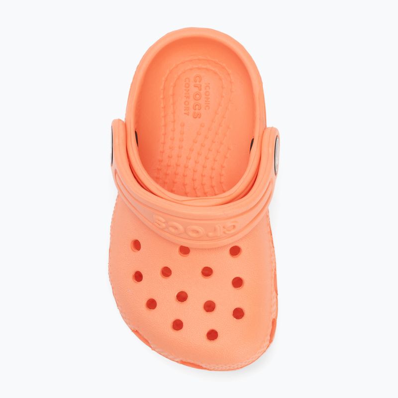 "Crocs Classic Clog Toddler" papajos šlepetės 6