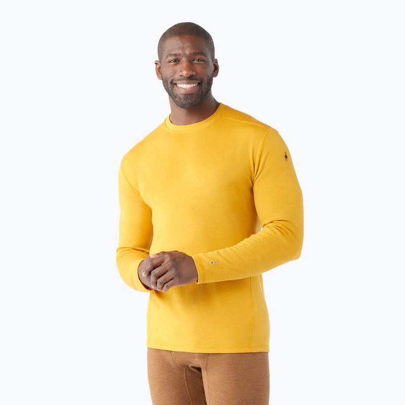 Vyriški termo marškinėliai Smartwool Merino 250 Baselayer Crew Boxed honey gold