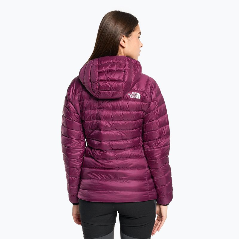 Moteriškos žieminės striukės The North Face Summit Breithorn Hoodie boysenberry 2
