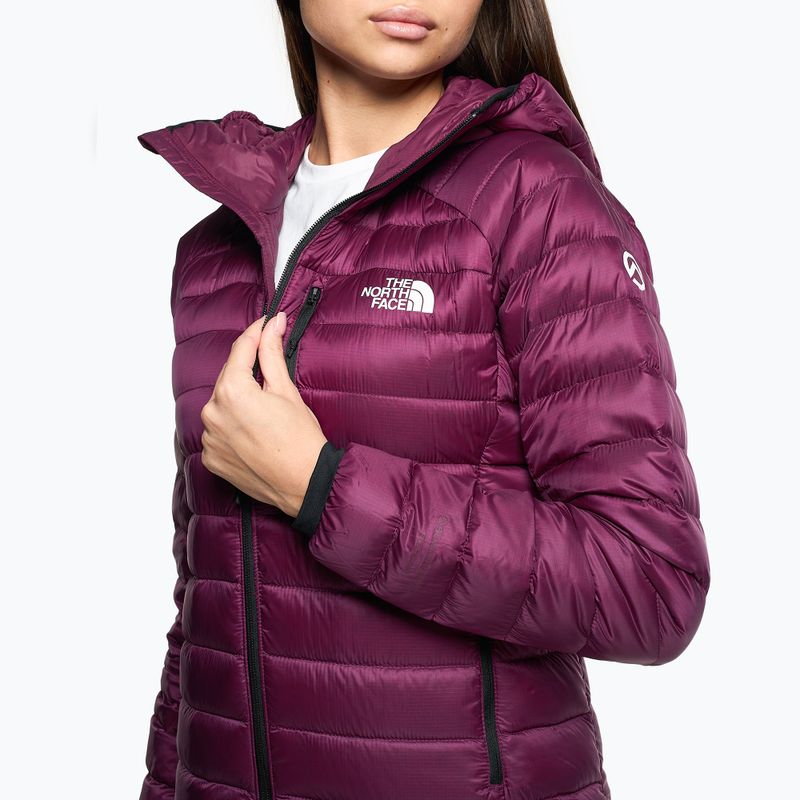 Moteriškos žieminės striukės The North Face Summit Breithorn Hoodie boysenberry 4
