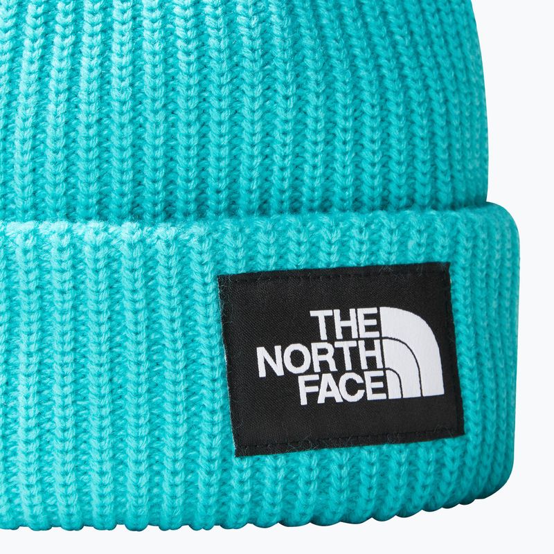 The North Face Salty apres mėlyna kepurė 2