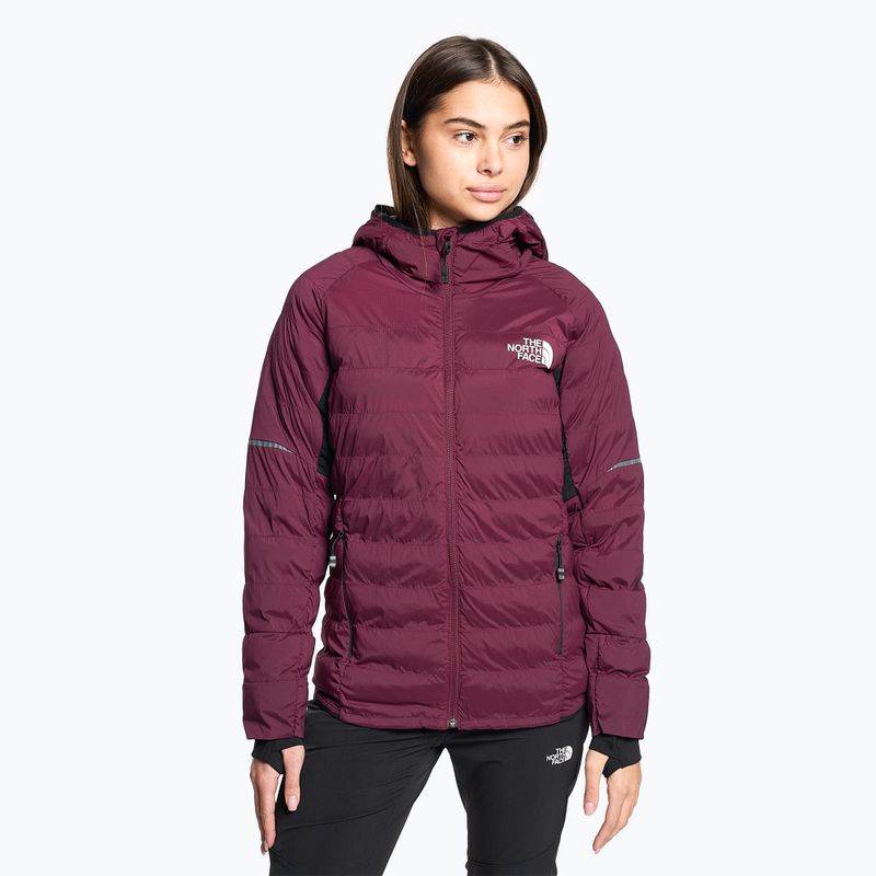 The North Face Dawn Turn 50/50 Synthetic boysenberry moteriška pūkinė striukė