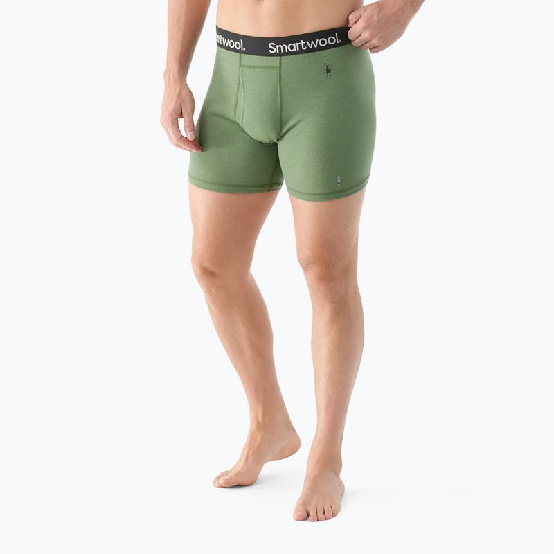 Vyriškos "Smartwool Merino Boxer" šiltos trumpikės "Boxer Brief" dėžutėje fern green 2