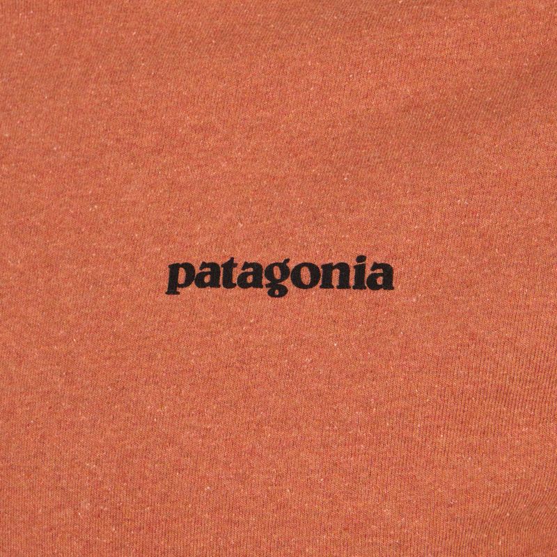 Vyriški žygio marškinėliai Patagonia P-6 Logo Responsibili-Tee redtall rust 3