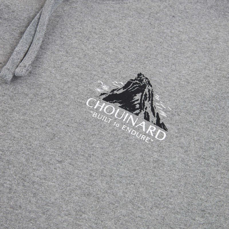 Vyriškas džemperis Patagonia Chouinard Crest Uprisal Hoody gravel heather 3