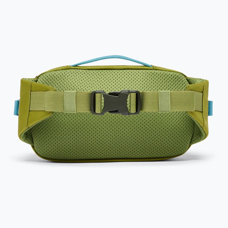 Rankinė ant juosmens Cotopaxi Allpa X Hip Pack 1,5 l lemongrass/cedar 4
