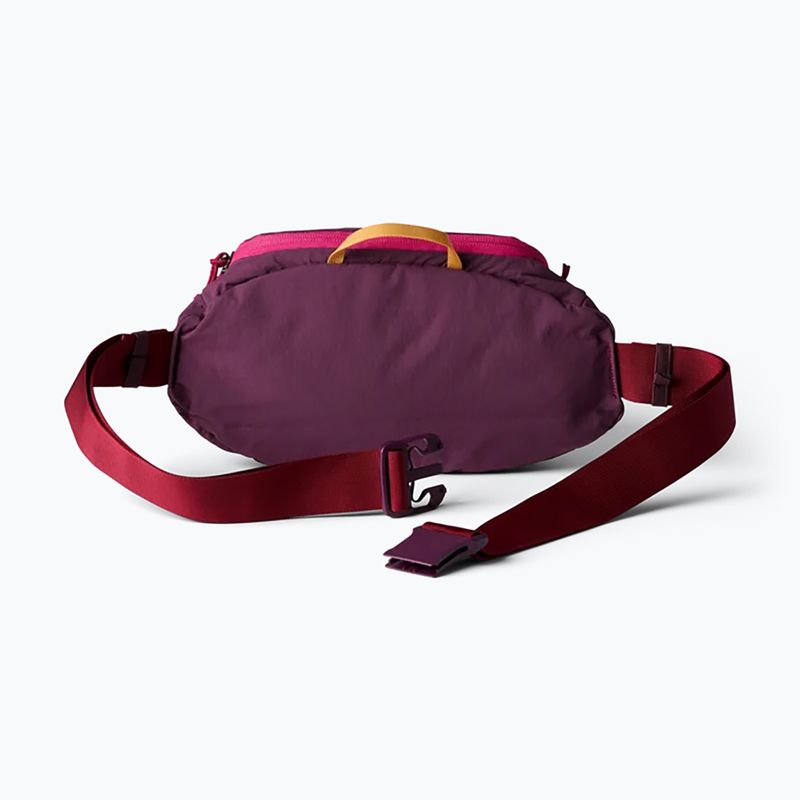 Juosmes krepšys Cotopaxi Empcable Sling 3 l acai 3