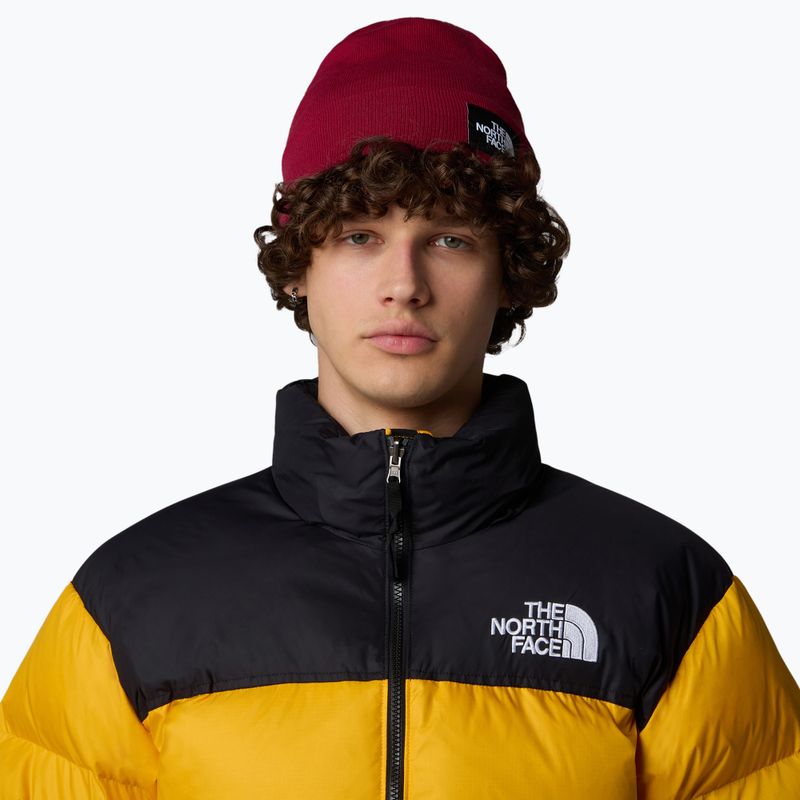 Žieminė kepurė The North Face Dock Worker Recycled beetroot 3