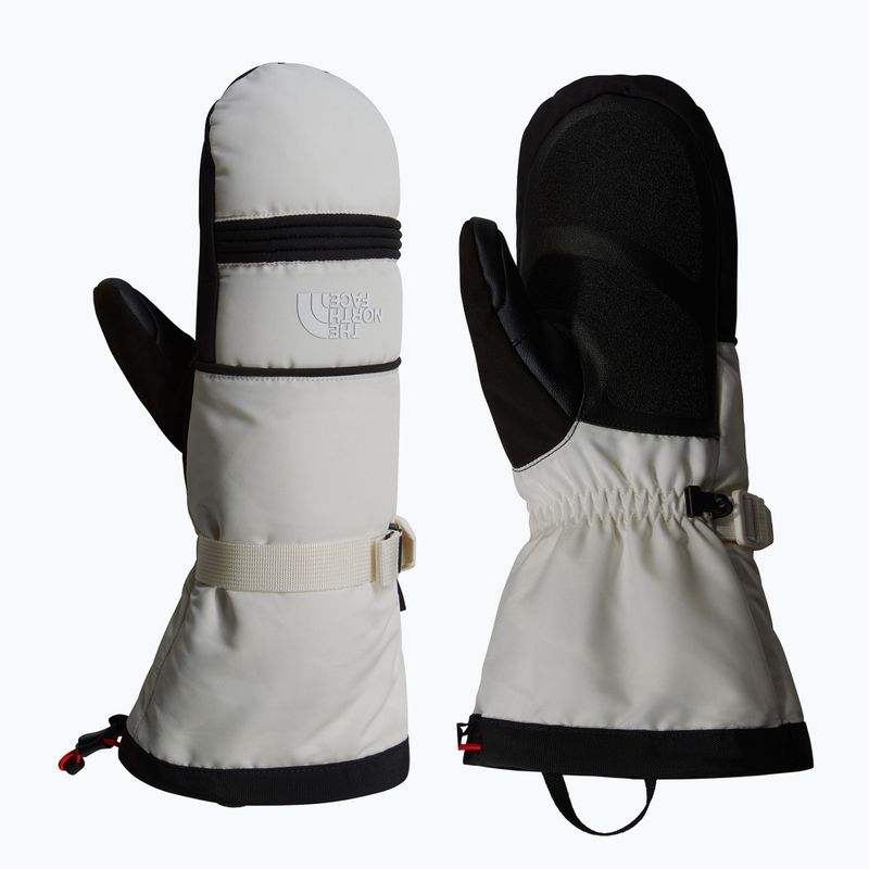 Moteriškos slidinėjimo pirštinės The North Face Montana Ski Mitt white dune