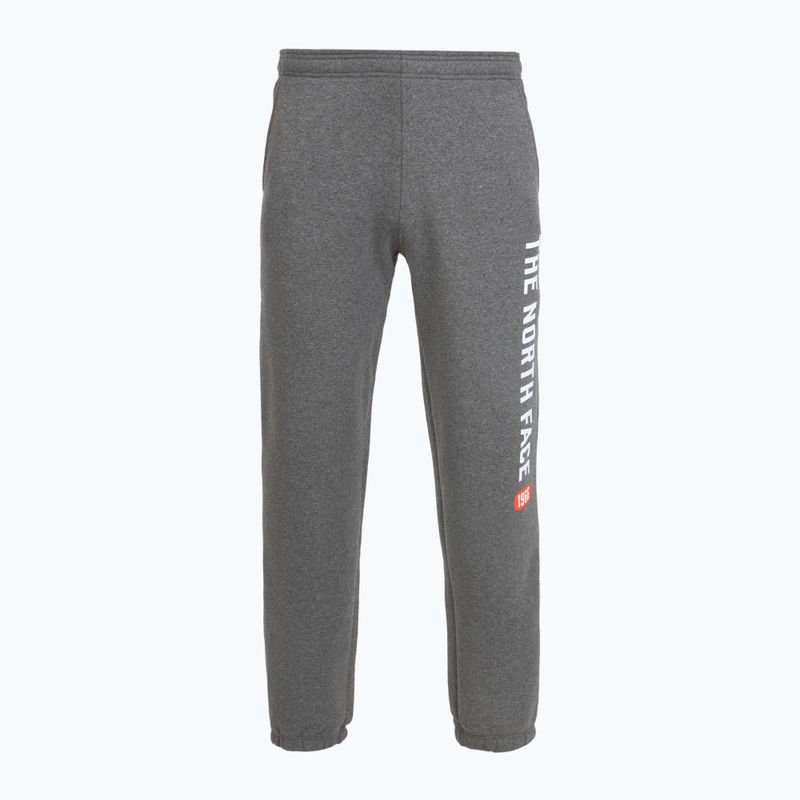 Vyriškos kelnės The North Face Varsity Graphic medium grey heather