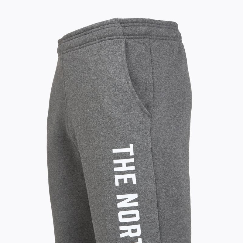 Vyriškos kelnės The North Face Varsity Graphic medium grey heather 3