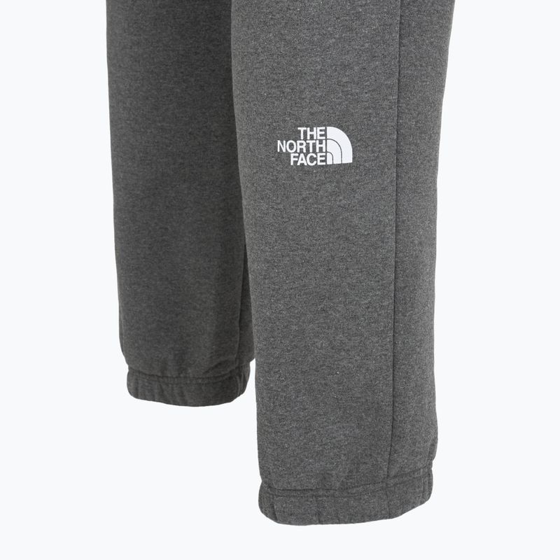 Vyriškos kelnės The North Face Varsity Graphic medium grey heather 4