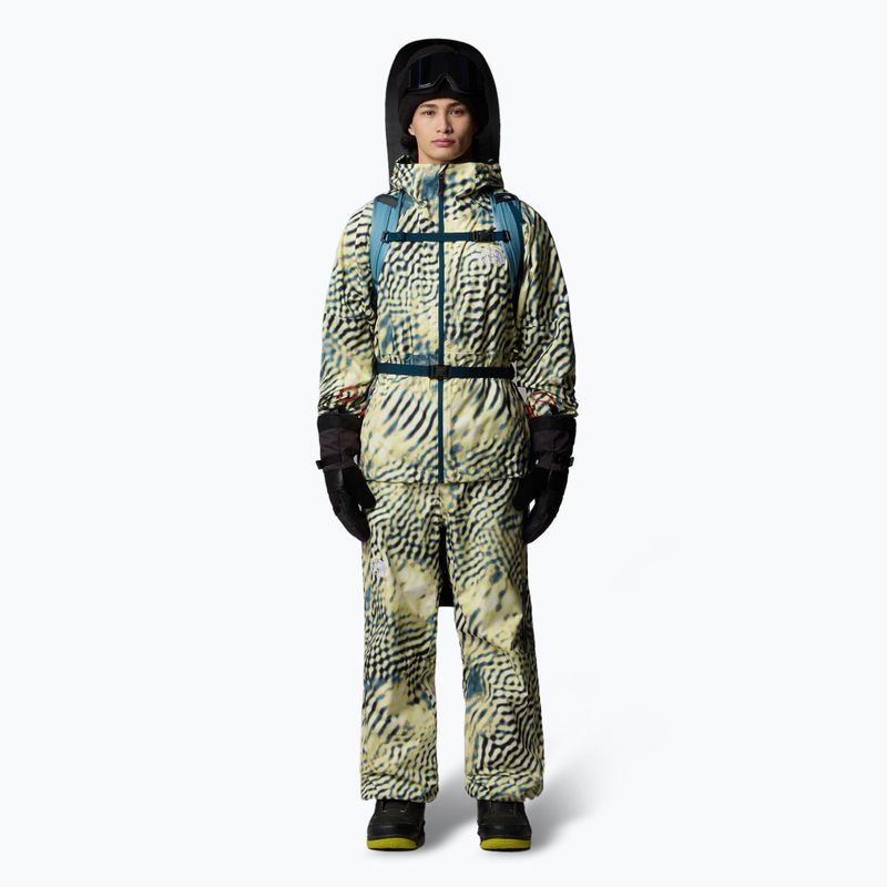 Vyriškos slidinėjimo kelnės The North Face Build Up nettle the lift print 2