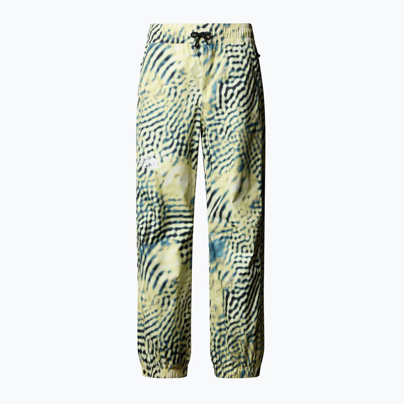 Vyriškos slidinėjimo kelnės The North Face Build Up nettle the lift print 4