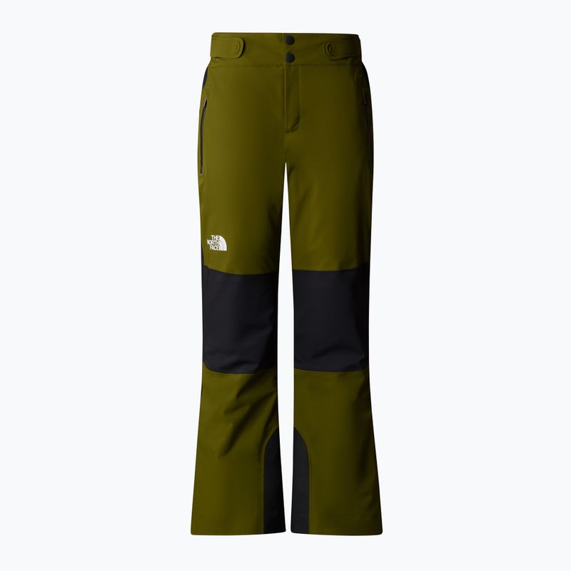 Moteriškos slidinėjimo kelnės The North Face Lenado Short forest olive/black 4