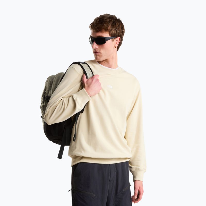 Miesto kuprinė The North Face Borealis Classic 29 l 8