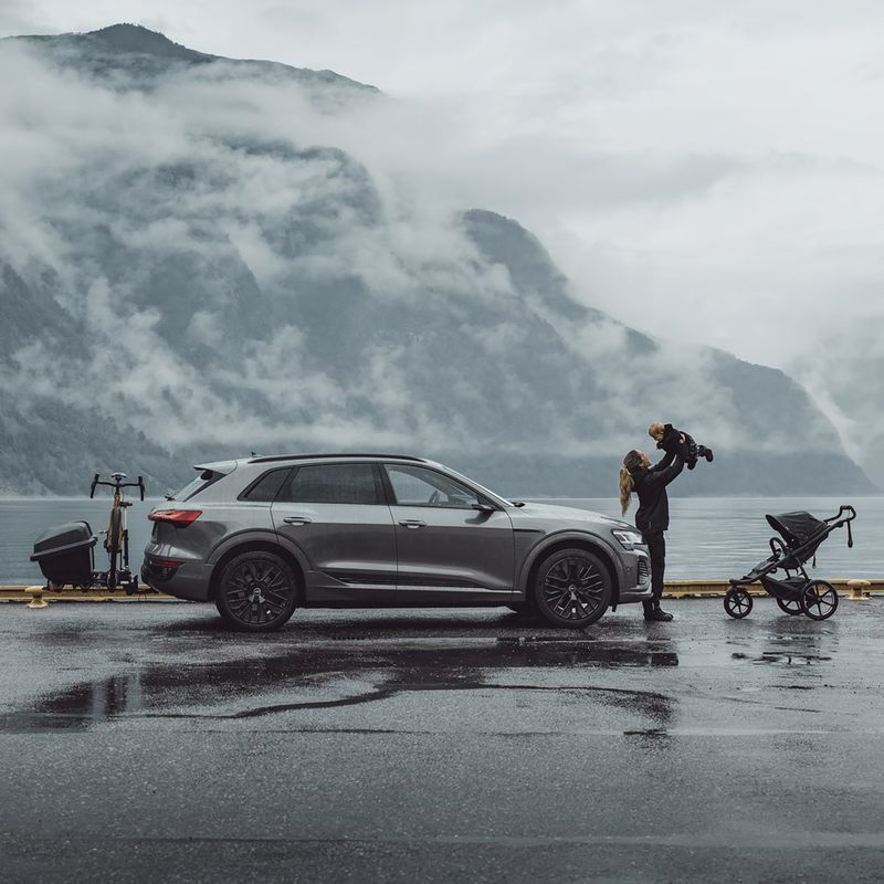 Kabliukų dėžutė Thule Santu black 5