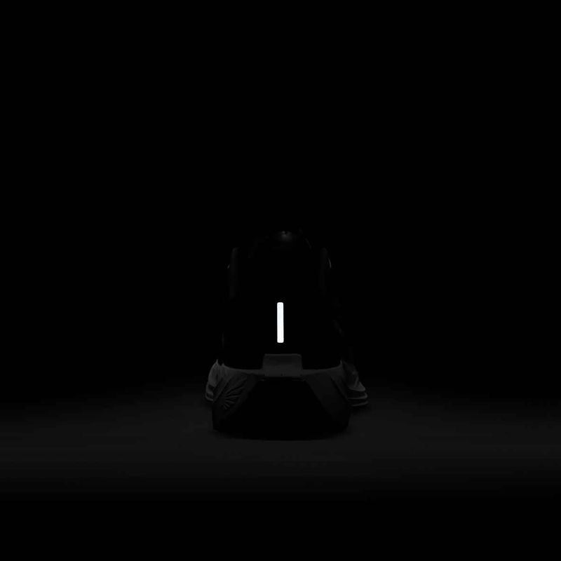 Vyriški bėgimo batai Nike Pegasus Plus black/anthracite/white/pure platinum 9