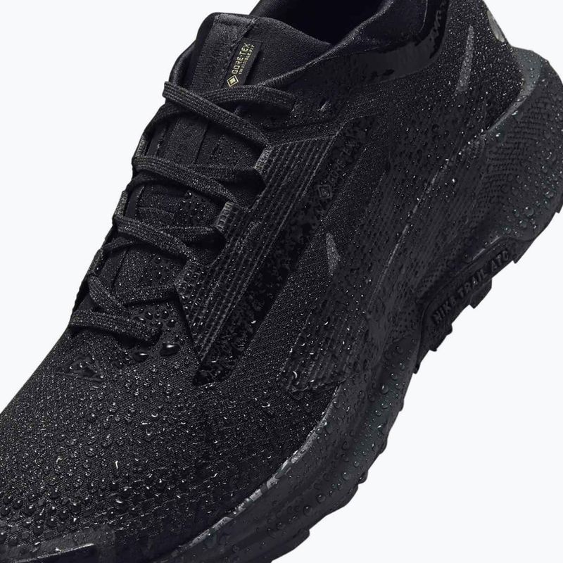 Vyriški bėgimo batai Nike Pegasus Trail 5 GORE-TEX black/anthracite/black 11