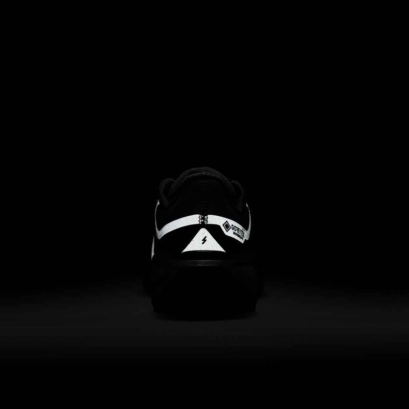 Moteriški bėgimo bateliai Nike Pegasus 41 GORE-TEX black/anthracite/black 10