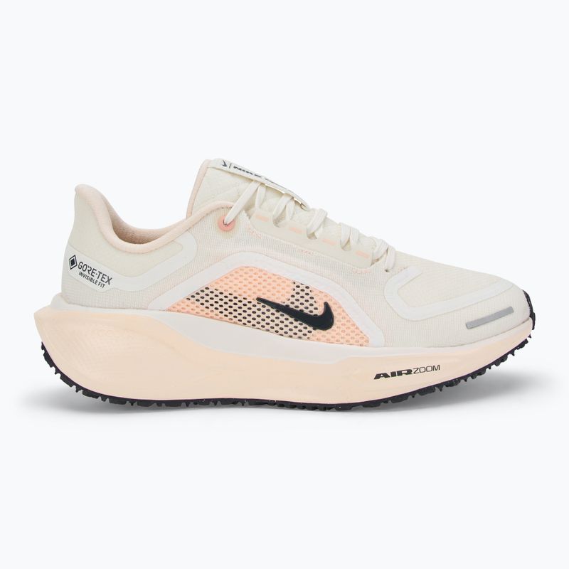 Moteriški bėgimo batai Nike Pegasus 41 GORE-TEX sail/ guava ice/ crimson tint/ anthracite 2
