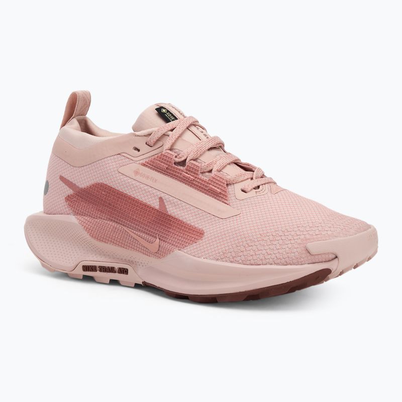 "Nike Pegasus Trail 5 GTX" moteriški bėgimo bateliai pink oxford/ red stardust/ red sepia
