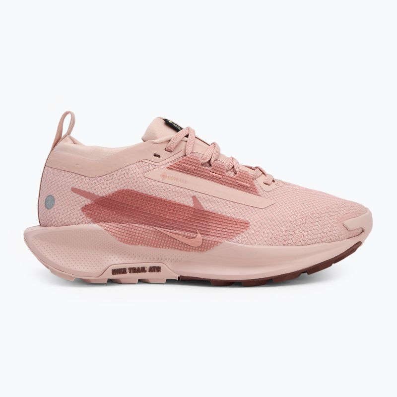 "Nike Pegasus Trail 5 GTX" moteriški bėgimo bateliai pink oxford/ red stardust/ red sepia 2