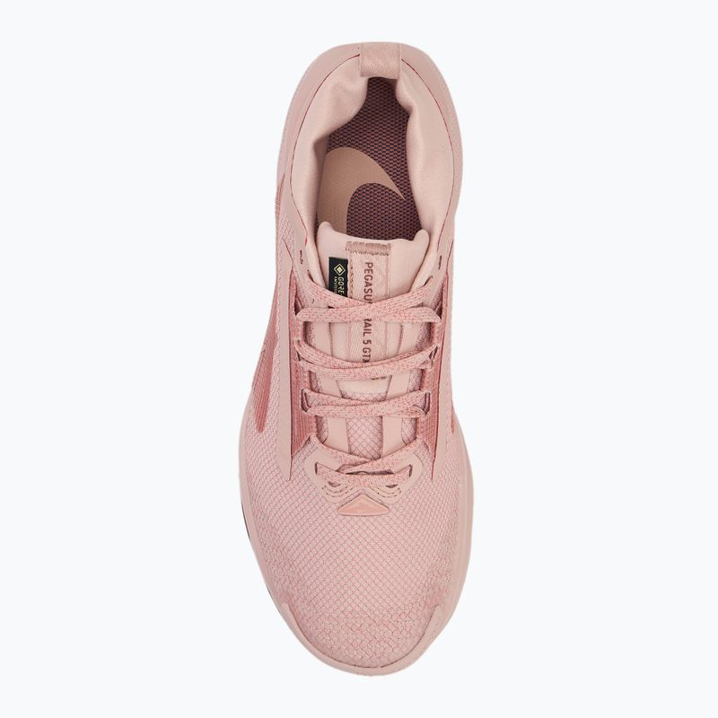 "Nike Pegasus Trail 5 GTX" moteriški bėgimo bateliai pink oxford/ red stardust/ red sepia 5