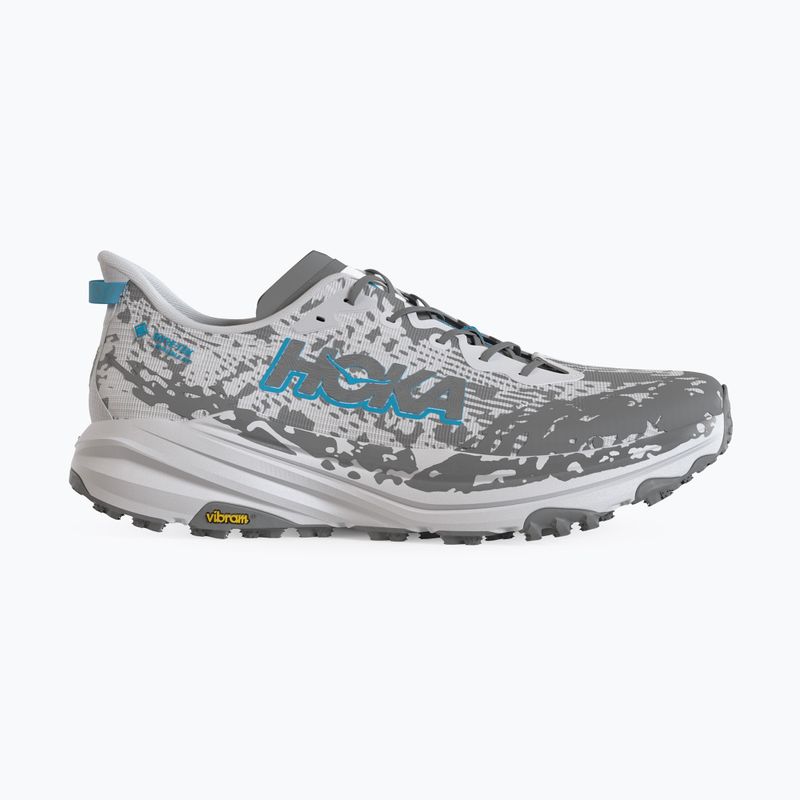 Vyriški bėgimo batai Hoka Speedgoat 6 GTX stardust/outer orbit 9