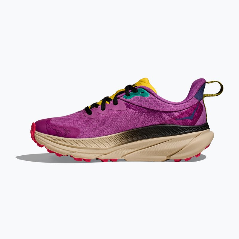 Moteriški bėgimo batai HOKA Challenger 7 GTX superbloom/oatmeal 3
