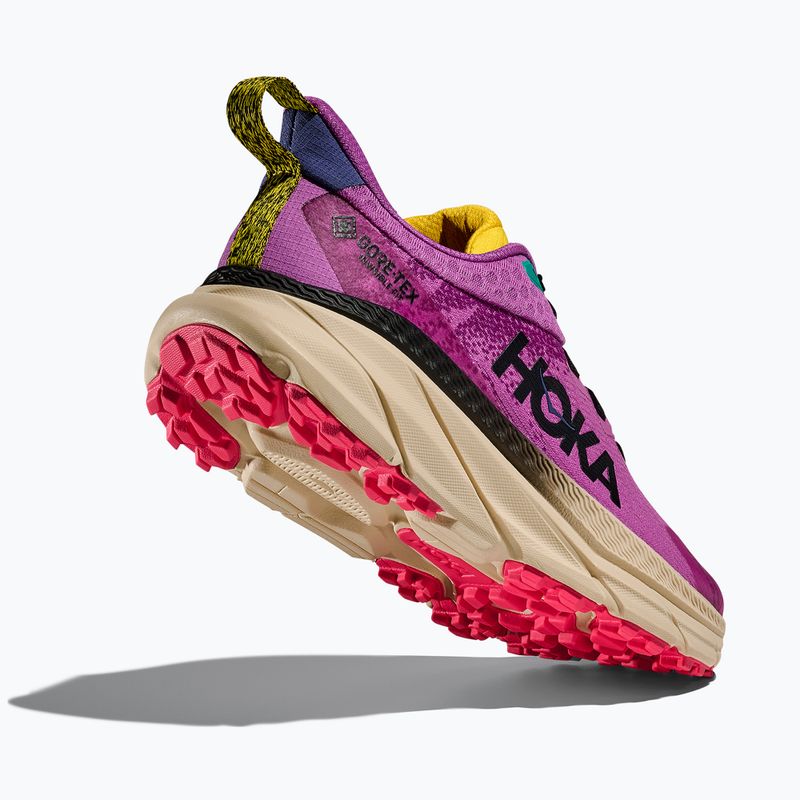Moteriški bėgimo batai HOKA Challenger 7 GTX superbloom/oatmeal 5