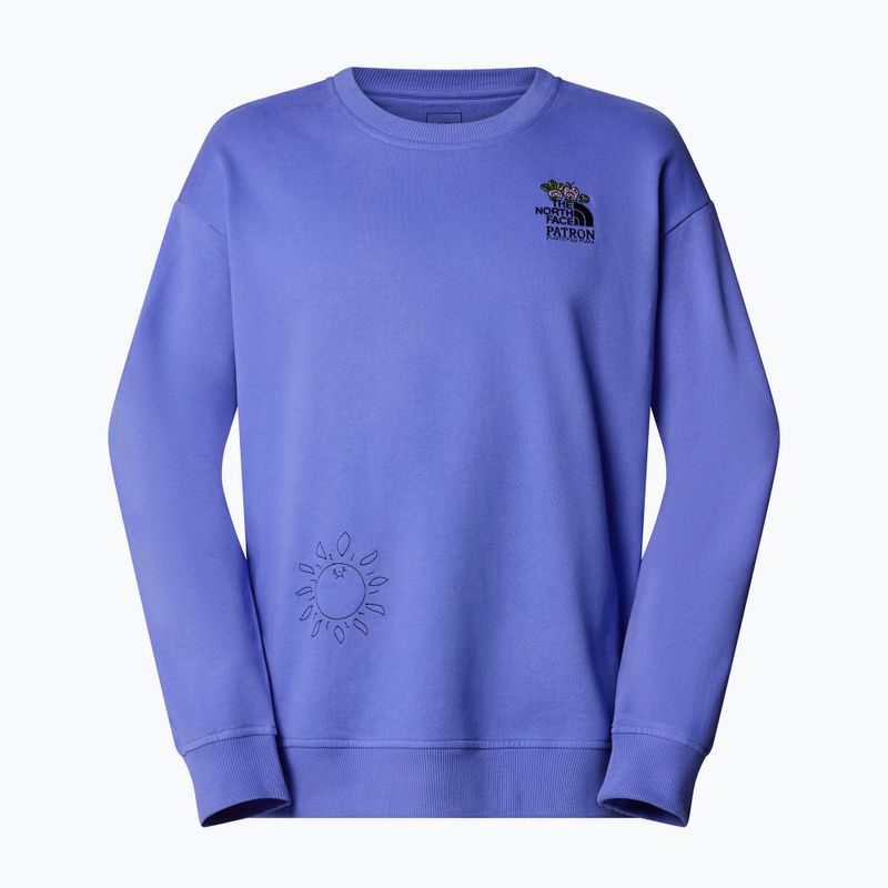 Džemperis The North Face Mountain Cleanup Over virtual blue 4