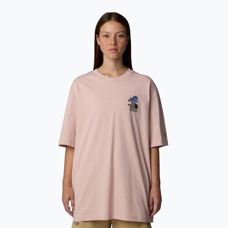 Vyriški marškinėliai The North Face Reflective Box Nse Tee pink moss