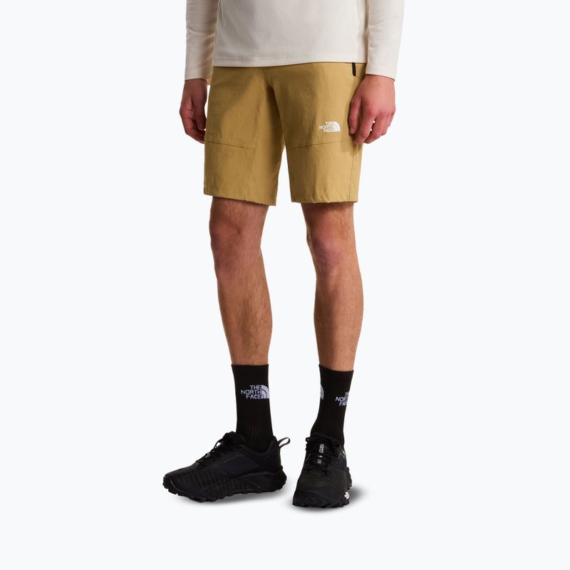 Vyriški žygių šortai The North Face Lightning SHT khaki stone/npf