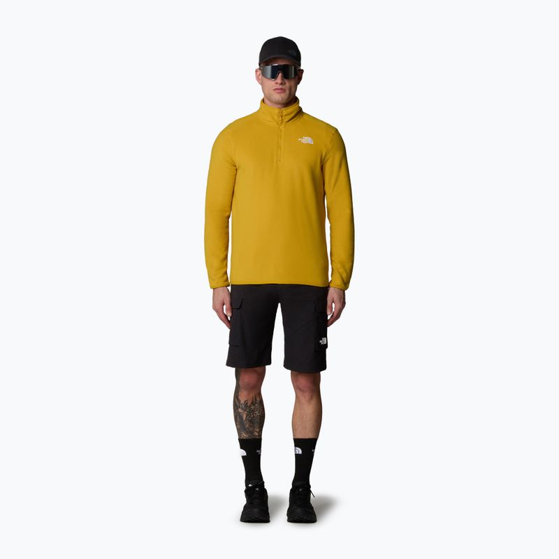 Vyriškas The North Face 100 Glacier 1/4 Zip turmeric džemperis 2