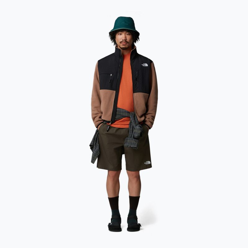 Vyriški šortai The North Face Limestone new taupe green 2