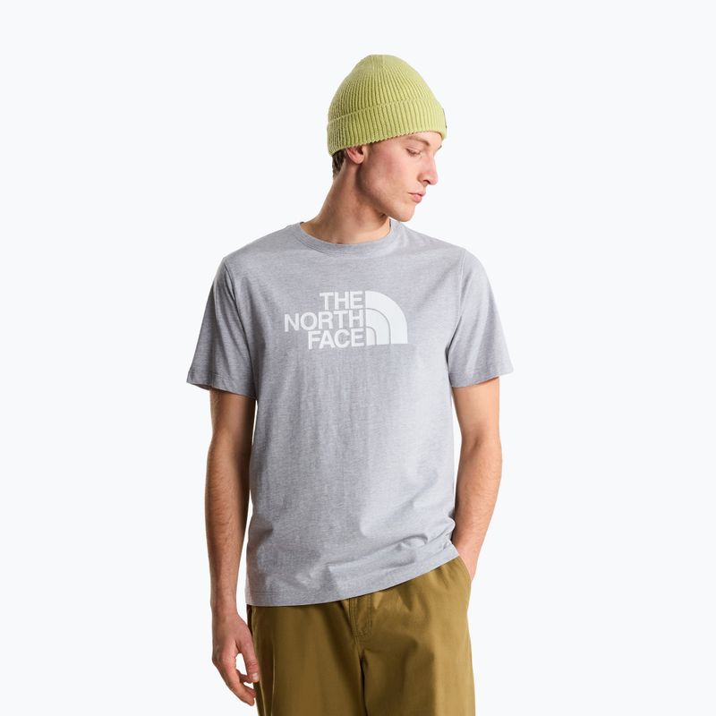 Vyriški marškinėliai The North Face Evolution Half Dome tnf pale grey heather