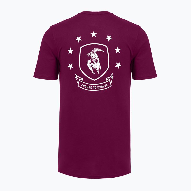 Vyriški treniruočių marškinėliai Under Armour Project Rock Badge Of Honor purple 4