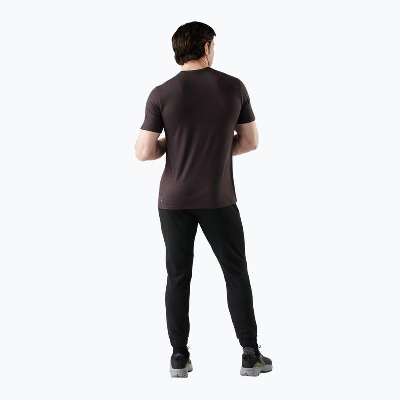 Vyriški žygio marškinėliai Smartwool Peak Energy Active Graphic mink heather 2