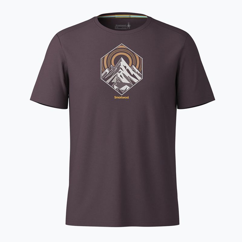 Vyriški žygio marškinėliai Smartwool Peak Energy Active Graphic mink heather 3