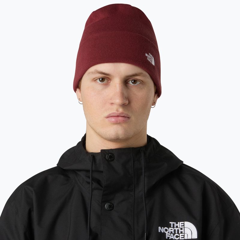 Žieminė kepurė The North Face Norm Beanie sumac 3