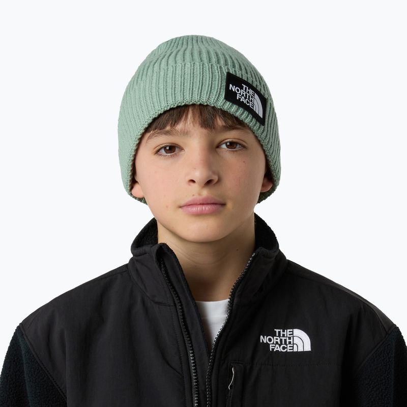 Vaikiška žieminė kepurė The North Face Logo Box Cuffed 3