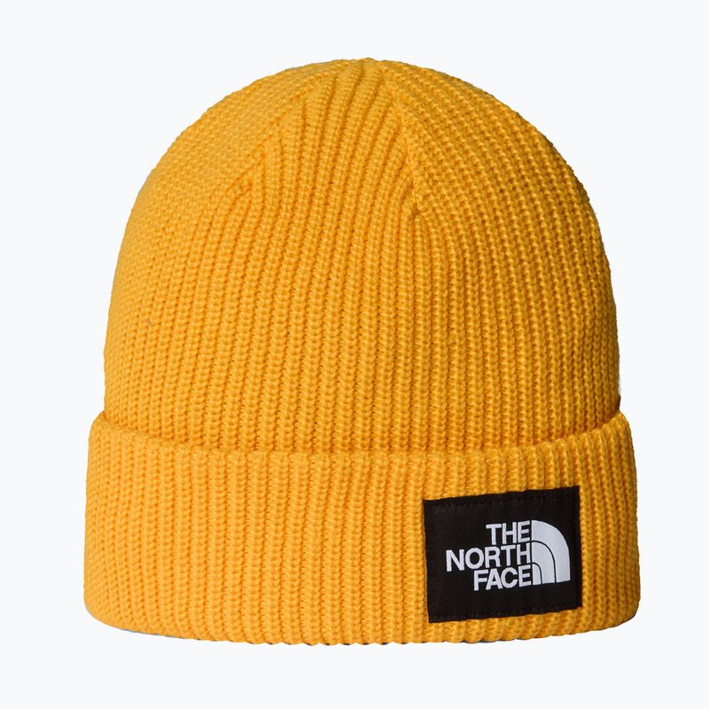 Žieminė kepurė The North Face Salty Lined