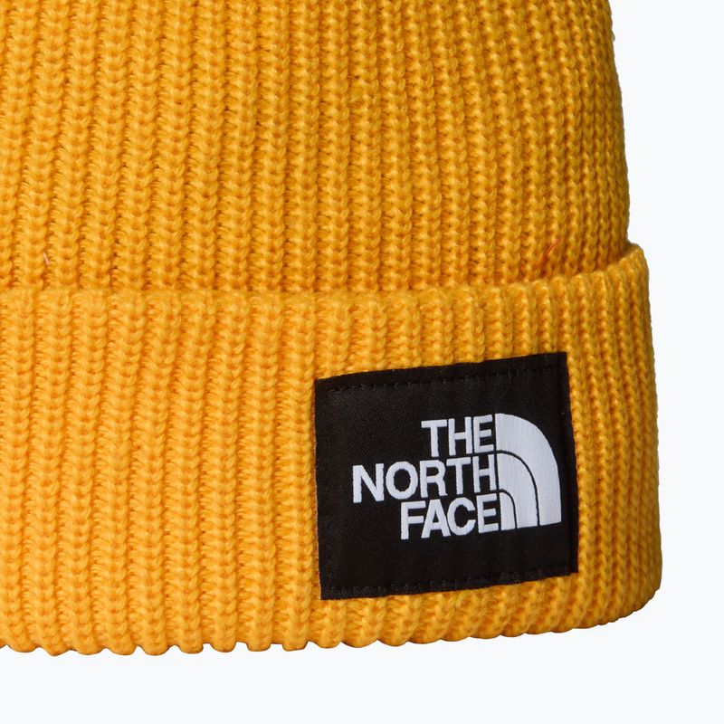 Žieminė kepurė The North Face Salty Lined 2