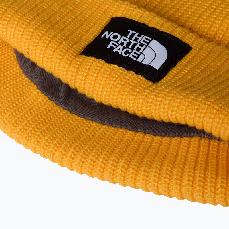 Žieminė kepurė The North Face Salty Lined 3