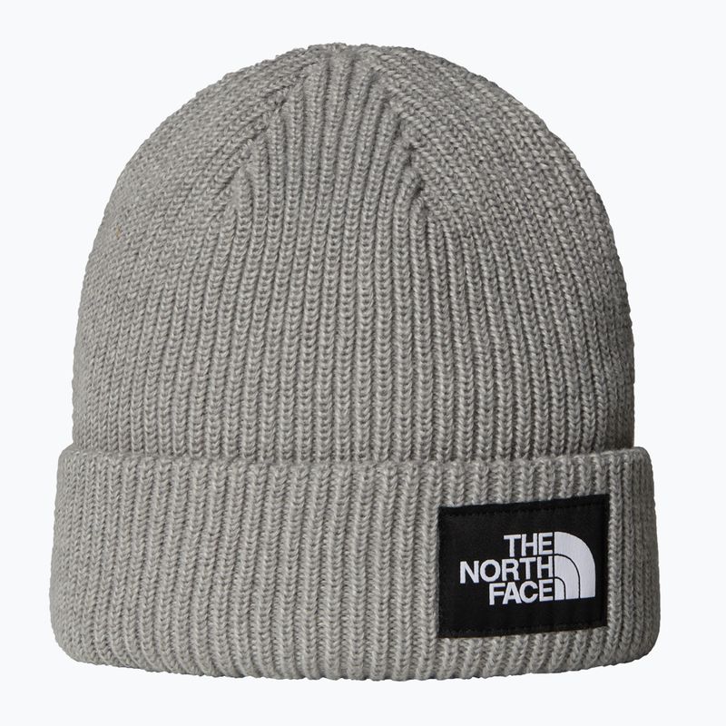 Žieminė kepurė The North Face Salty Lined